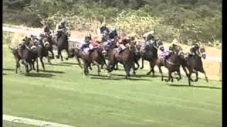 Bravura wins the 2010 Investec Cape Derby (Gr 1)