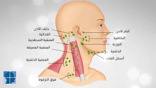 تضخم الغدد الليمفاوية بالرقبة .. الأسباب والتشخيص