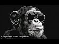 dark minimal techno intro the monkey radio stream