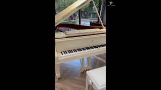 二手Steinway Model A \u0026 PianoDisc