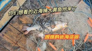 们想看的近海捕大黄鱼他来了，赚不赚钱无所谓，满足大家的想法【南澳岛记录员彪哥】