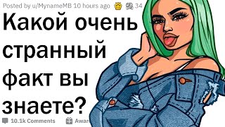 Какой странный факт вы знаете?