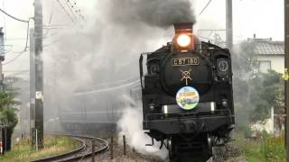 2015.11.14 快速SL青い12系客車号(8226レ)　信越本線亀田駅~荻川駅間通過