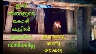 നാടൻ കോഴിക്ക് മുട്ടയിടാൻ ബോക്ക്സ് എങ്ങനെ നിർമ്മിക്കാം. Hen Breedingbox.