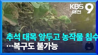 추석 대목 앞두고 농작물 침수…복구도 불가능 / KBS  2022.08.12.