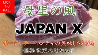 庶民のランチ　母里の風　宮城県角田市　ジャパンXを探る・価格改定のお知らせ