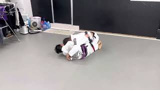 상대방 화이트 아닙니다 ... 퍼플벨트 상대하는 장인성 선수 #주짓수 #jiujitsu #와이어주짓수 #장인성 #bjj #스파링