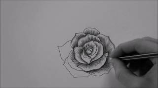 How to draw a Rose In 10 Minutes step by step Real Time