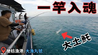 船釣土魠 一竿入魂 #大漁丸 #taiwanfishing  #share #fishing #釣點分享 #釣魚 #釣り đánh bắt cá