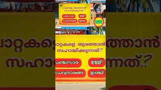 പാറ്റകളെ തുരത്താൻ ..? #information #americanmalayalees