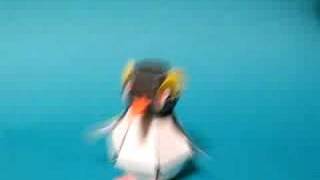 ペンギン爆弾 PENGUIN BOMB