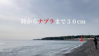 カンパリの釣果情報を信じて釣りに行ったら…とんでもないナブラに遭遇しました！！ A large number of fish grow on the coast of Japan. fishing.