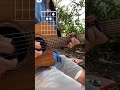 🎼 #guitar #single #viral #strings #viralvideo #trending #music #1million #shorts #short #ytshorts