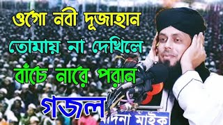 ওগো নবী দূজাহান তোমায় না দেখিলে বাঁচে নারে পরান \\ মুফতি আবুল হাসেম শাহ্ মিয়াজি #new_gojol_2022