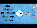 11. LDAP Java : LDAP How to delete user in group in Java