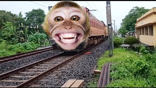 Funny Monkey Face Aggressive Intercity Express Furious Moving Throughout At Railgate