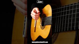 Traditional Mexican Mariachi guitar - great strumming pattern!