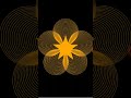 Make a unique design with python on pydroid 3 #py3 #python #turtle  #turtlegraphics #pydroid3