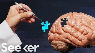 Scientists Can Implant Fake Memories in the Brain, Here’s How