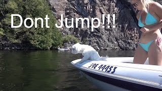 $350 dollar ticket for cliff jumping!?