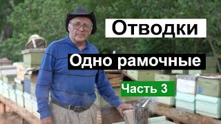 Пасека #121 Одно рамочные ОТВОДКИ , Матки,Маточники,Мёд и Пчелы / Пчеловодство для начинающих