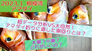 相模湾アマダイ！データを解析して爆釣を狙え！