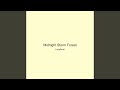 Midnight Storm Forest