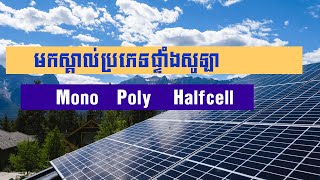 សូឡា 3 ប្រភេទ Mono, Poly, Half Cell