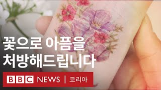 자해의 아픔을 꽃으로 어루만지는 ‘꽃처방’ - BBC News 코리아