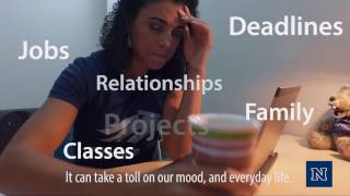 Unr Counseling