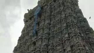 திருச்செந்தூர் முருகன் கோவில் அழகும், கடலும், மயிலும் | Thiruchendur Murugan Temple