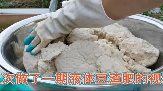 制作豆渣固体肥全过程，给蔬菜瓜果追肥，埋底肥都非常好！