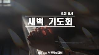 2025.01.19. 새벽기도회