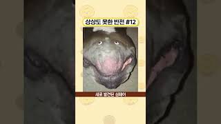 상상도 못한 반전 #12