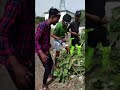 cg vicky kaushik fan club #short #viral #reels #instagram #2022 #youtube #faberlic #faberlic 🤣😅🤩