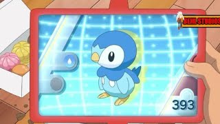 Piplup pokedex entry.Pilpup pokedex data