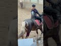 mickey super lief maar niet makkelijk horse