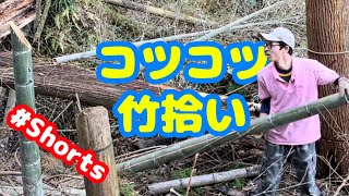 千葉県長柄町の荒れた竹林で、ひたすら定量間伐の後は、ひたすら拾って焼く！とりもどせ、日本の里山！田舎不動産