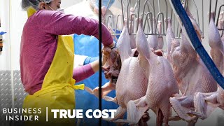 Thanksgiving Turkey Slaughter At Gunthorp Farms | True Cost | Business Insider