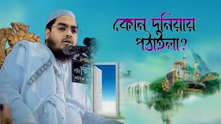 হাফিজুর রহমান সিদ্দিকী গজল | আল্লারে কোন দুনিয়ায় পাঠাইলা আমারে | hafizur rahman siddiki gojol