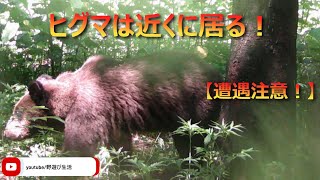 ヒグマは近くに居る！