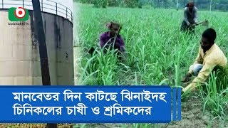 মানবেতর দিন কাটছে ঝিনাইদহ চিনিকলের চাষী ও শ্রমিকদের