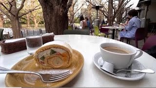 【東京カフェ】昔から大ファン！外苑いちょう並木にあるキハチ 青山本店 ☕🍰️🌳Tokyo Vlog