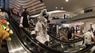 [4k 360 VR] I Walk Through the FWA Hotel and Record Furries | Furry Weekend Atlanta 2023 Hotel