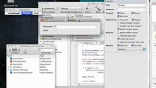 Xcode 3.1: Cocoa-Python (nslookupX parte 1/2)