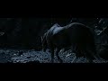 Lord of the Rings from the perspective of Bill the Pony