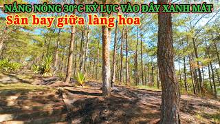 ĐỈNH ĐIỂM NẮNG NÓNG ĐÀ LẠT 30°C VÀO ĐÂY XANH MÁT, SÂN BAY GIỮA LÀNG HOA