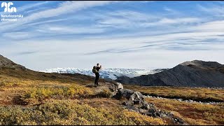 Forskare Gavin Kenny om naturen på Grönland