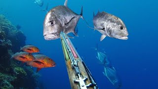 BERBURU IKAN Giant TREVALLY, RED BASS, BARONANG, KERAPU