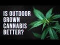 OUTDOOR VS INDOOR CANNABIS from a chemistry perspective: Breaking down the current reserach.